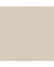 Granite Floor Tile TS5-601